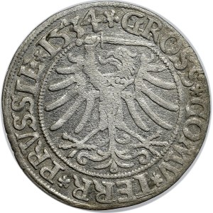 Sigismund I the Old, 1534 grosz, Torun, PRVSS/PRVSSIE, interesting shapes of ornaments on the reverse side