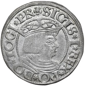 Sigismund I the Old, penny 1535, Gdansk, PR/DANC3