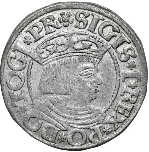 Zygmunt I Stary, grosz 1535, Gdańsk, PR/DANC3