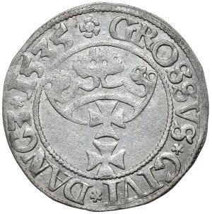 Zygmunt I Stary, grosz 1535, Gdańsk, PR/DANC3