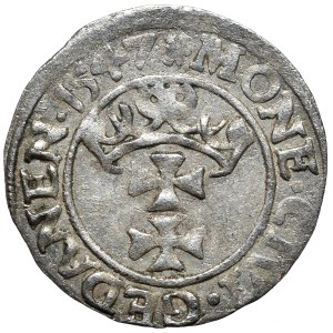 Zygmunt I Stary, szeląg 1547 POLON, Gdańsk