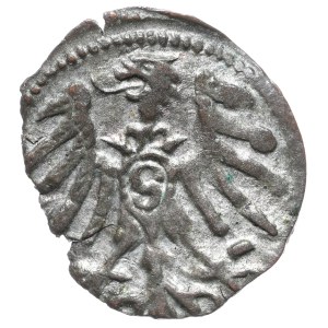 Prusy Książęce, Albrecht Hohenzollern, denar bez daty, Królewiec