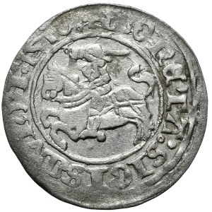 Zygmunt I Stary, półgrosz 1510, Wilno