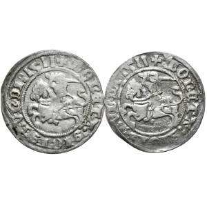 Set of 2 half-pennies 1511, Vilnius