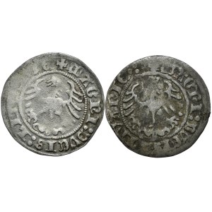Zestaw 2 półgroszy 1513, Wilno. Rzadkie odmiany