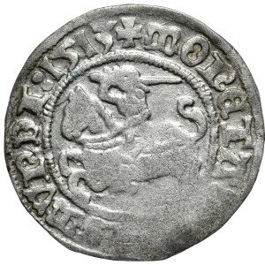 Zygmunt I Stary, półgrosz 1513, Wilno, pełna data