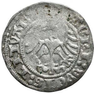 Zygmunt I Stary, półgrosz 1513, Wilno, pełna data