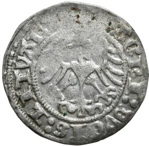 Sigismund I the Old, half-penny 1513, Vilnius, full date