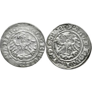 Zestaw 2 półgroszy 1515, Wilno, w tym desrukt