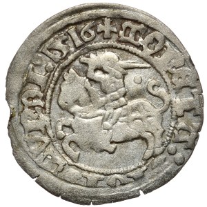 Zygmunt I Stary, półgrosz 1516, Wilno, kropka za Pogonią. Rzadki