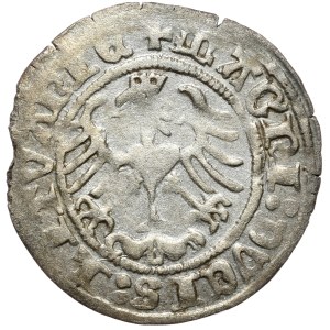 Zygmunt I Stary, półgrosz 1516, Wilno, kropka za Pogonią. Rzadki