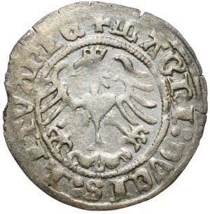 Sigismund I the Old, half-penny 1516, Vilnius, dot behind Pogon. Rare
