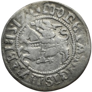 Zygmunt I Stary, półgrosz 1517, Wilno. Rzadkość