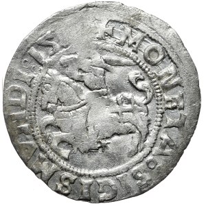 Zygmunt I Stary, półgrosz 1517?, Wilno