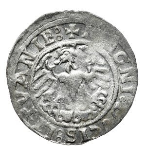 Zygmunt I Stary, półgrosz 1517?, Wilno