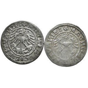 Set of 2 half-pennies 1519, Vilnius, SIGISMVNDI and SIGISMVND.