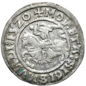 Zygmunt I Stary, półgrosz 1520, Wilno