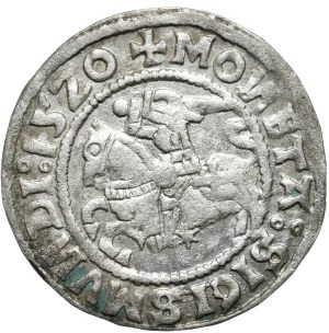 Sigismund I the Old, half-penny 1520, Vilnius