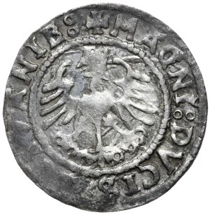 Sigismund I the Old, half-penny 1527, Vilnius, SIGISMVANDI, 2 rings at the sword handle. Rarity