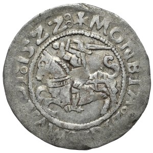 Zygmunt I Stary, półgrosz 1522, Wilno