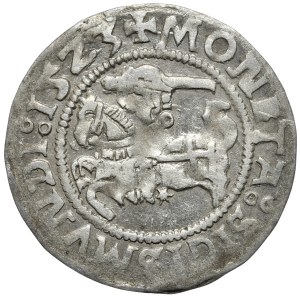 Zygmunt I Stary, półgrosz 1523, Wilno, Pogoń z pierścieniem na łokciu.