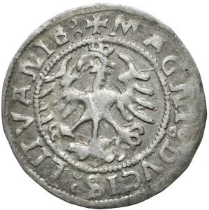 Sigismund I the Old, semi-penny 1523, Vilnius, Pogo with a ring on the elbow.