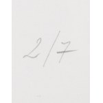 Magdalena Abakanowicz (1930 Falenty pod Warszawą - 2017 Warszawa), Tors, 1985