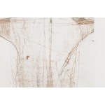 Magdalena Abakanowicz (1930 Falenty pod Warszawą - 2017 Warszawa), Tors, 1985