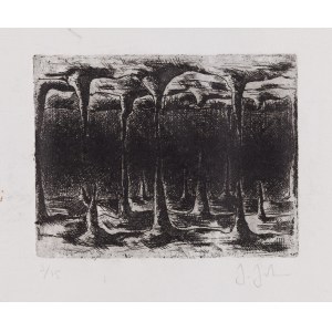 Jasper Johns (ur. 1930), Bez tytułu, II poł. XX w.