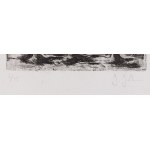 Jasper Johns (ur. 1930), Bez tytułu, II poł. XX w.