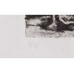 Jasper Johns (ur. 1930), Bez tytułu, II poł. XX w.
