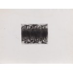 Jasper Johns (ur. 1930), Bez tytułu, II poł. XX w.