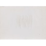 Jasper Johns (ur. 1930), Bez tytułu, II poł. XX w.