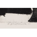 Edmund Piotrowicz (1915 Kherson - 1991 Warsaw), Warsaw Landscape VI, 1963