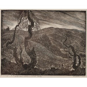 Paweł Steller (1895 Hermanice - 1974 Katowice), Sul sentiero turistico alle sorgenti della Vistola, 1968