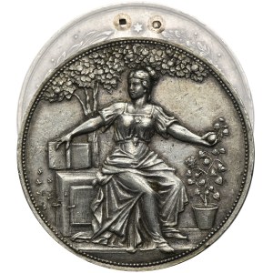 Galicia, Medal Jubilee Horticultural and Beekeeping Exhibition in Lviv 1898 - VERY RARE, SILVER