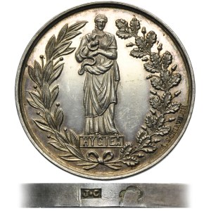 Galicia, Medal of Merit from the Hygienic-Medical and Educational-Natural Exhibition in Lviv 1888