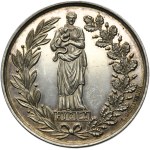 Galicia, Medal of Merit from the Hygienic-Medical and Educational-Natural Exhibition in Lviv 1888