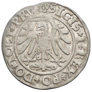 Sigismund I the Old, Groschen ELbing 1534 - PRV