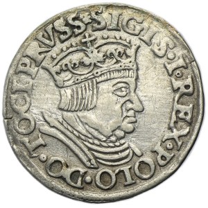 Sigismund I the Old, 3 Groschen Danzig 1536