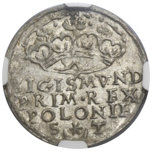 Sigismund I the Old, Groschen Krakau 1546 ST - NGC AU58