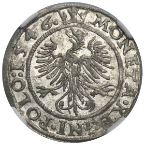 Sigismund I the Old, Groschen Krakau 1546 ST - NGC AU58