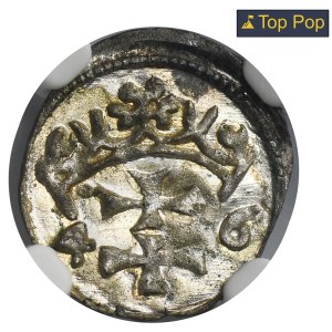 Sigismund I the Old, Denarius Danzig 1546 - NGC MS64