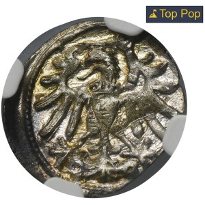 Sigismund I the Old, Denarius Danzig 1546 - NGC MS64