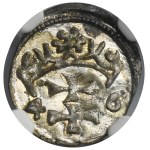Sigismund I the Old, Denarius Danzig 1546 - NGC MS64