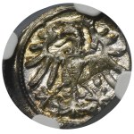 Sigismund I the Old, Denarius Danzig 1546 - NGC MS64
