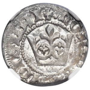 Ladislaus II Jagiello, 1/2 Groschen Krakau - without marks - NGC MS64