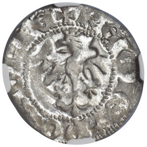 Ladislaus II Jagiello, 1/2 Groschen Krakau - without marks - NGC MS64