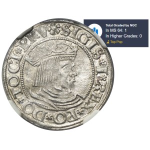 Zikmund I. Starý, gdaňský groš 1531 - PRV - NGC MS64