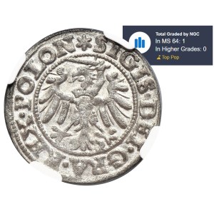 Zikmund I. Starý, Szeląg Danzig 1546 - NGC MS64